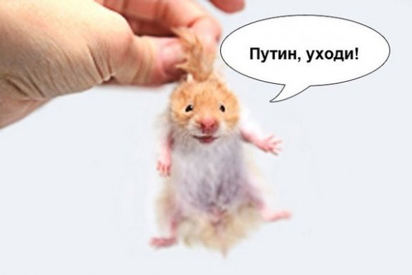 Александр Роджерс. Кандидаты со светлыми лицами Александр Роджерс. Кандидаты со светлыми лицами