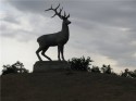 Россияне пожалели запорожский памятник оленю