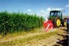 Запорожские сельхозпроизводители намерены опять идти в колхозы