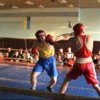 В Запорожье открывается школа бокса