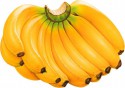 На Украину привезли тысячу тонн «поддельных» бананов