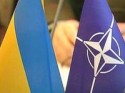 Янукович: Украине и НАТО не по пути