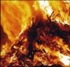 В Запорожской области женщина сгорела заживо