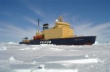 У берегов Антарктиды застрял ледокол с туристами