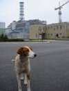 Украина наконец-то построит в Чернобыле саркофаг