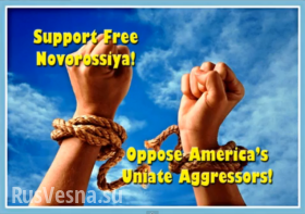 «Свободу угнетённым!» — американцы и европейцы за Новороссию - ВИДЕО