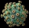 Насколько крепок ваш иммунитет? Тест