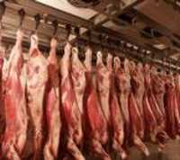 В Запорожье "аресторано" 40 тонн подозрительного мяса