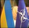 Ющенко "обменяет" румынам Змеиный на поддержку в стремлении к НАТО?