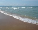 В Чёрное море вылились тонны фекалий, пляжи закрыты