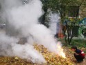 1700 грн. штрафа за сжигание листвы и мусора