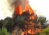 С наступлением жаркой погоды пожары в лесах становятся настоящим бедствием