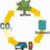 Украина к 2010 году планирует перейти на биотопливо