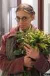 Украинские продавцы рассчитывают реализовать 14 млн цветов