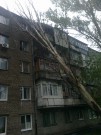 Ураган в Запорожье: в центре города дерево рухнуло на жилой дом! ФОТО