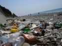 Центральный пляж завалили мусором