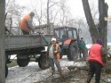 В Запорожье скосили сотни тысяч метров газоны и снесли аварийные деревья