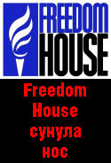Freedom House заподозрила Януковича в 'путинизации' Украины