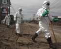 Радиация в зоне отчуждения вокруг 'Фукусимы-1' в 500 раз выше нормы
