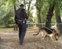 Убийцу, перерезавшего горло валютчице, ищут милиционеры с собаками!
