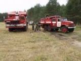 Пожарные спасли 19 гектаров леса