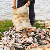 Запорожская рыбоохрана оштрафовала нарушителей на 183 тысячи гривен