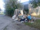 В украинский мусор вложат 700 миллионов