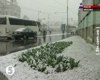 В Москве накануне Пасхи неожиданно выпал снег
