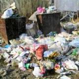 Запорожцы нафестивалили на ярмарке почти 40 тонн мусора