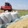 В Запорожской обл. собрали без малого 3 миллиона тонн зерна