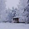 Погода в Запорожье: мороз и солнце