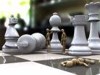 Кто лучше в Запорожье играет в шахматы - мальчики или девочки?