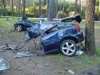 В Запорожской области автомобиль врезался в дерево: 5 жертв