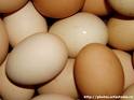 Десяток яиц на запорожских рынках стоит уже от 5 до 5 грн. 20 копеек