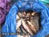 30 килограммов карася изъяли сотрудники государственной рыбохраны