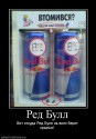 Осторожно: Red Bull - медики запрещают употреблять энергетический напиток!