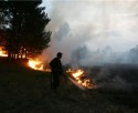 Сильный пожар в Запорожской области