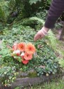 30-летняя женщина неделю торговала цветами с могил