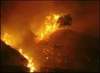 9 гектаров леса сгорело в Акимовском районе