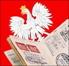 Что поляки говорят о бандеровцах и их флаге - ВИДЕО 18+