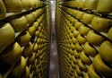 Благодаря России в украинских магазинах резко подешевеет сыр!