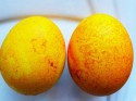 Мастер класс 'Пасхальные яйца своими руками': уникальный и натуральный рецепт - ФОТО