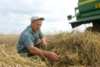 Запорожский миллион тонн зерна нового урожая уже в закромах