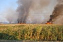 В Запорожье и Луганске горят степь и дома!