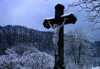 Сатанисты отметили хэллоуин на кладбище - сожгли 13 венков и кресты на 13 могилах!