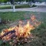 За сжигание осенней листвы наказали более 400 запорожцев