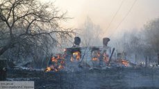 Порошенко засекретил последствия пожаров в Чернобыле - ВИДЕО