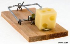Самая потрясающая статья об уничтожении сыра