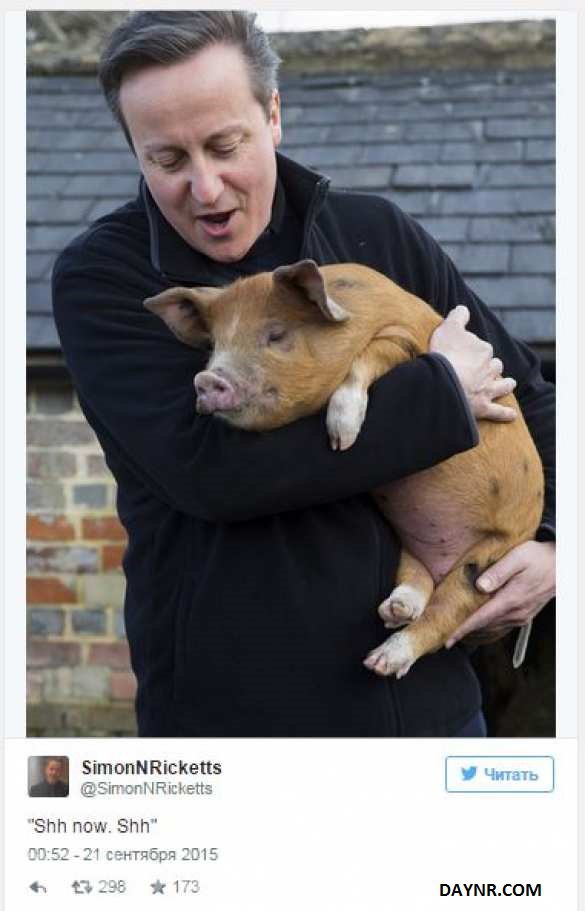 Их нравы: Британский премьер занимался сексом с мёртвой свиньёй, — лорд Эшкрофт