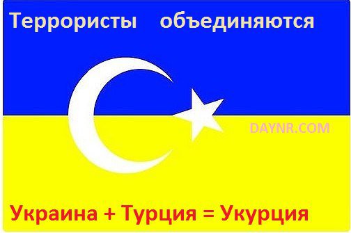Укурция - объединение террористов Украины и Турции - Владимир Рогов - ВИДЕО